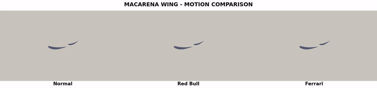 Synchronized comparison of three rear-wing flap motions